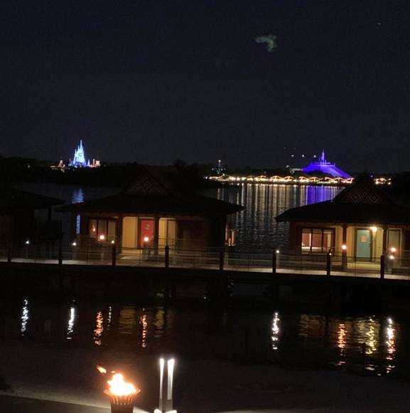 Meet your Posher, Jodie - Picture 1 of 1